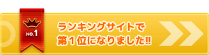 ランキングサイト第１位